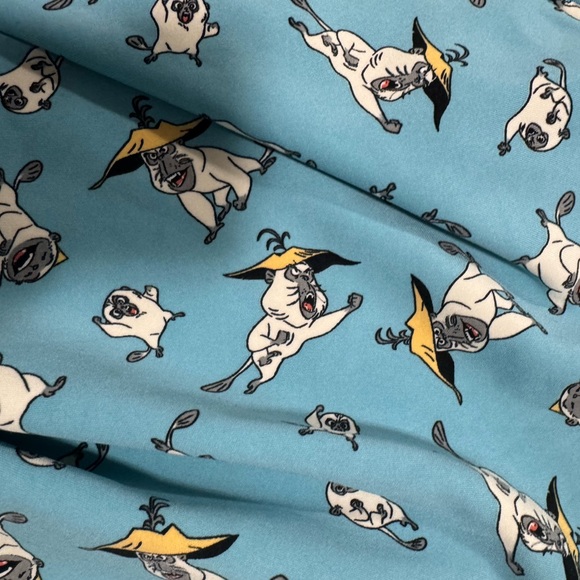 🔥Disney Raya and the Last Dragon Pug Print Skort | Women’s XL - Picture 5 of 8